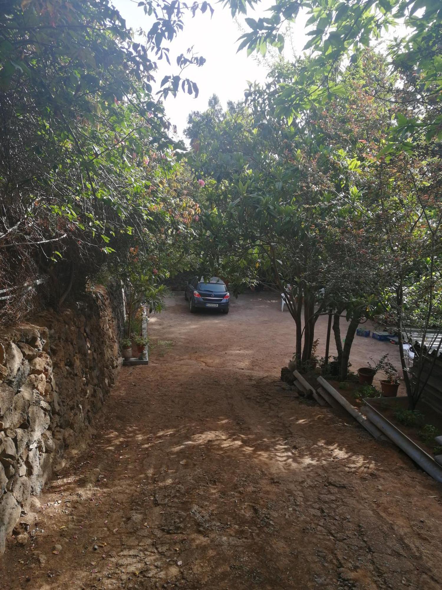 San Juan de la Rambla Casa Ecologica, Autosuficiente En Lomo Blanco, Dentro De Una Casa Rodeada De Naturaleza מראה חיצוני תמונה